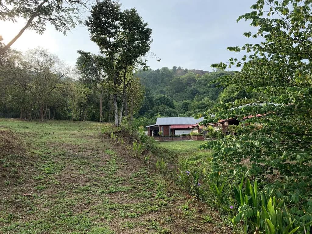Hujung Kampung - photo 7