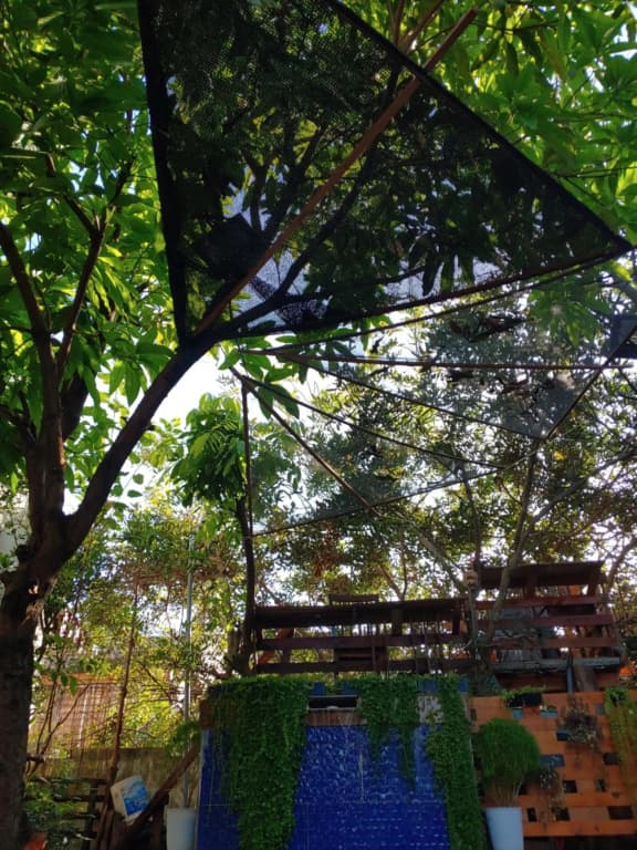 Tasek Homestay D Village Ipoh - photo 1