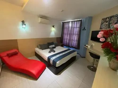 Dolphin Hotel - photo 26