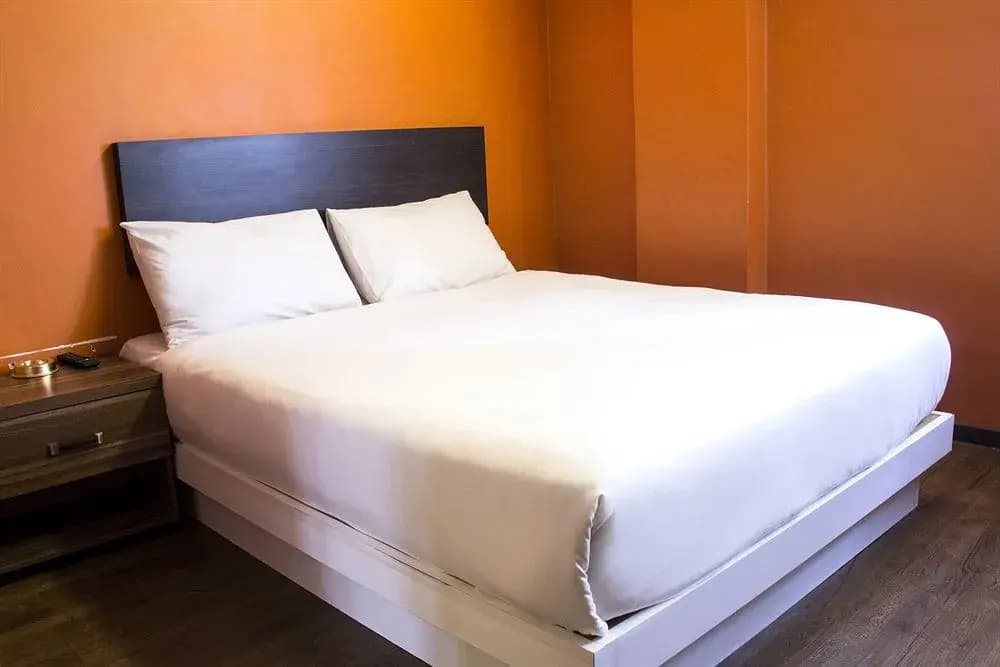 My Home Hotel - photo 5