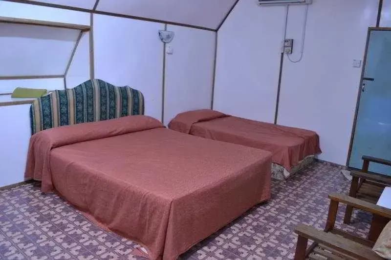 Delta Chenang Resort - photo 3