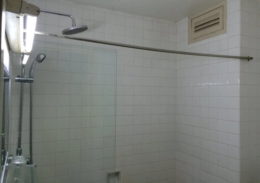 Palace Hotel - photo 10