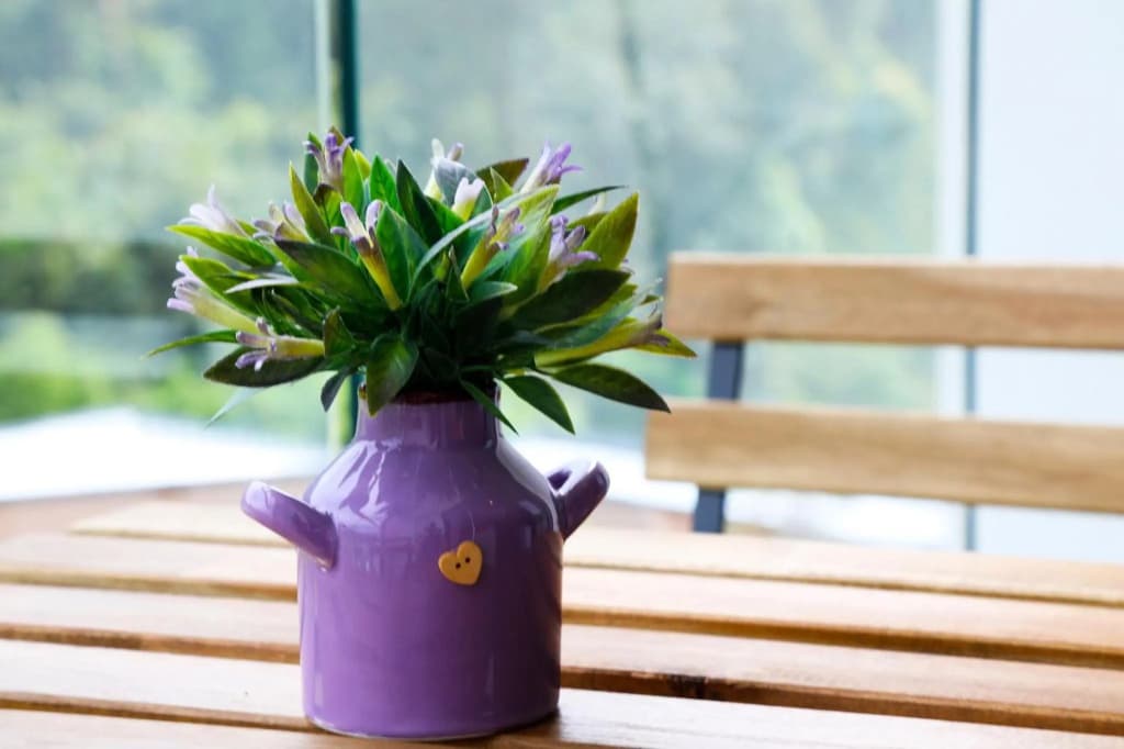 NATURE COZY HOME @MIDHILLS GENTING l 8 MINS SKYWAY/GPO - photo 1