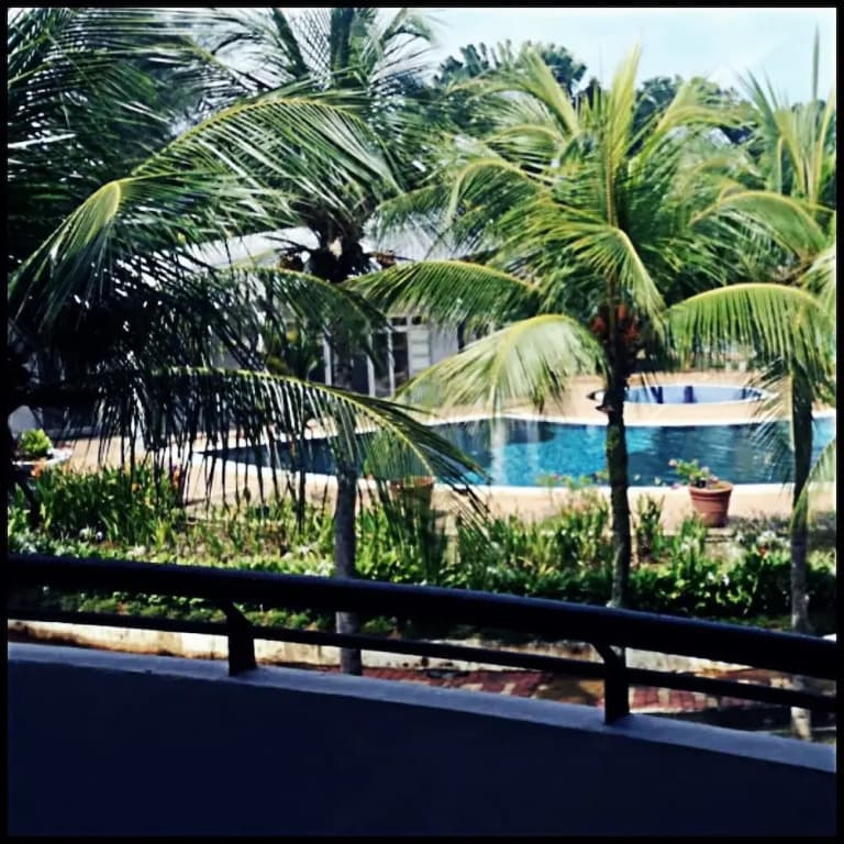 MTV PD Resort - photo 14
