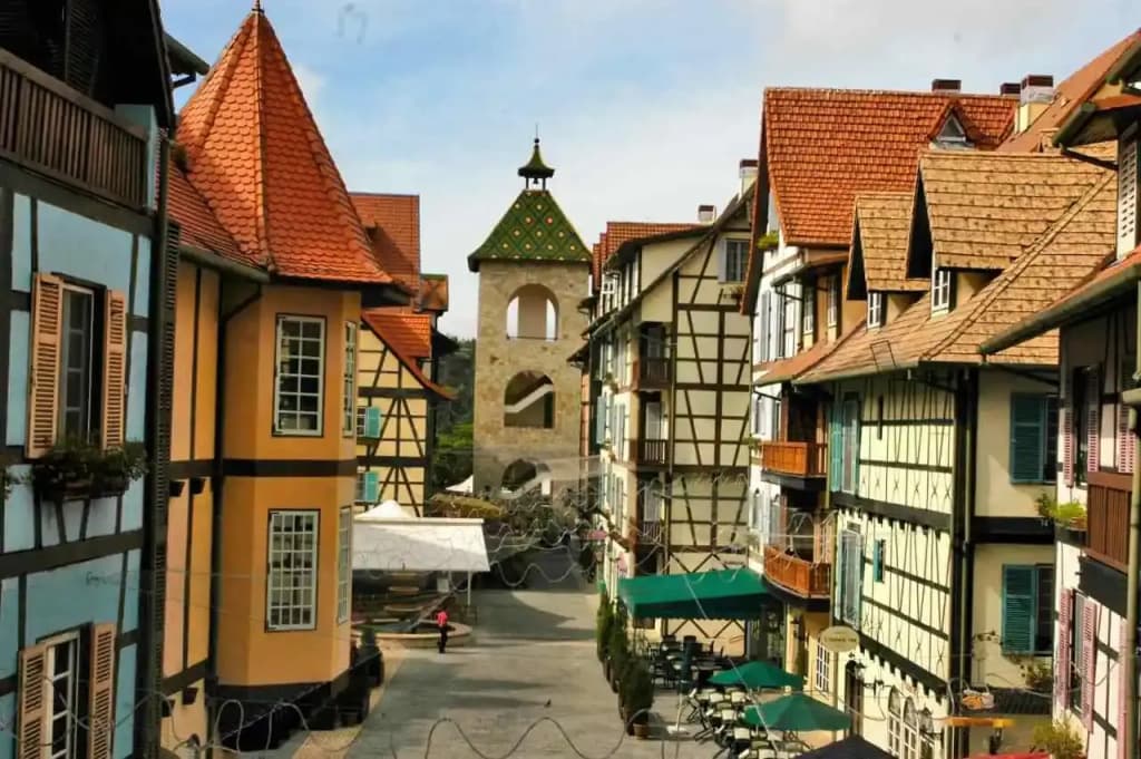 Colmar Tropicale - photo 1