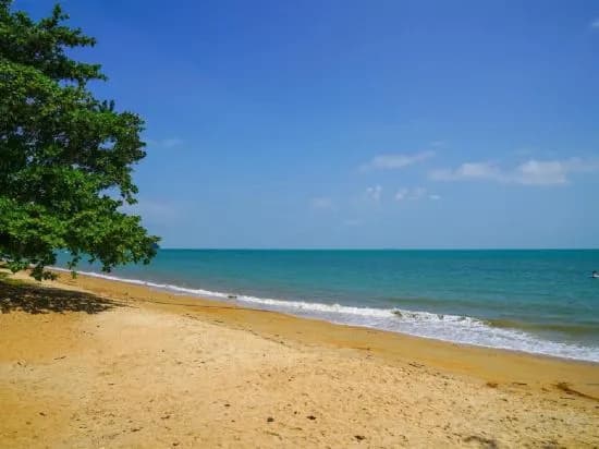 Mango's Park Port Dickson - photo 17