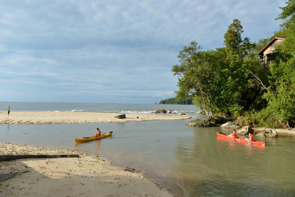Permai Rainforest Resort - photo 16