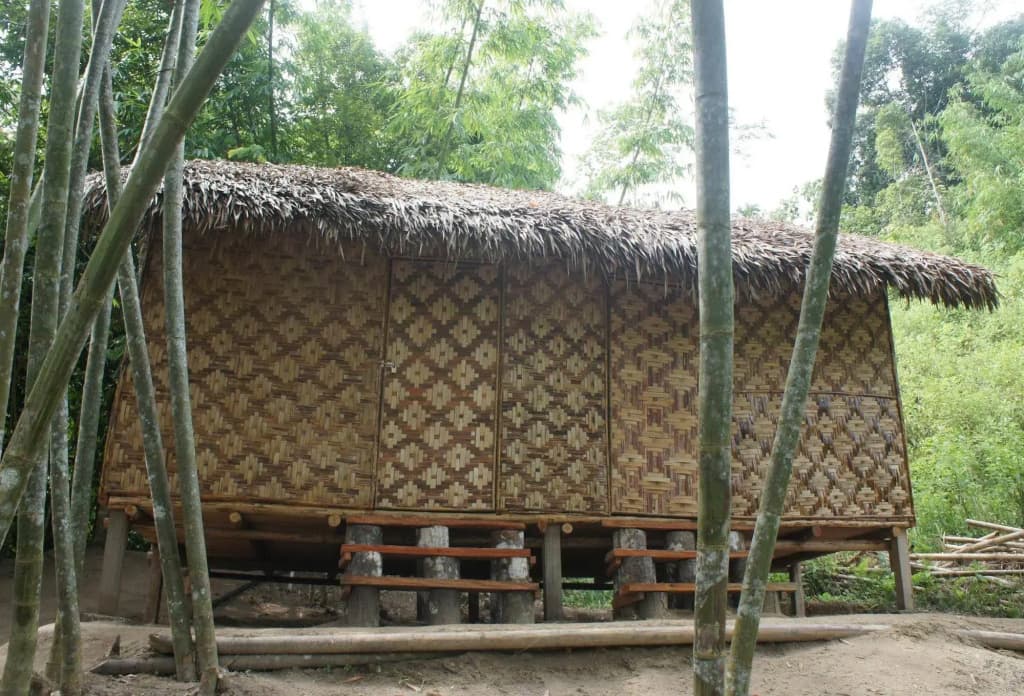 Rain Forest Inn - photo 5