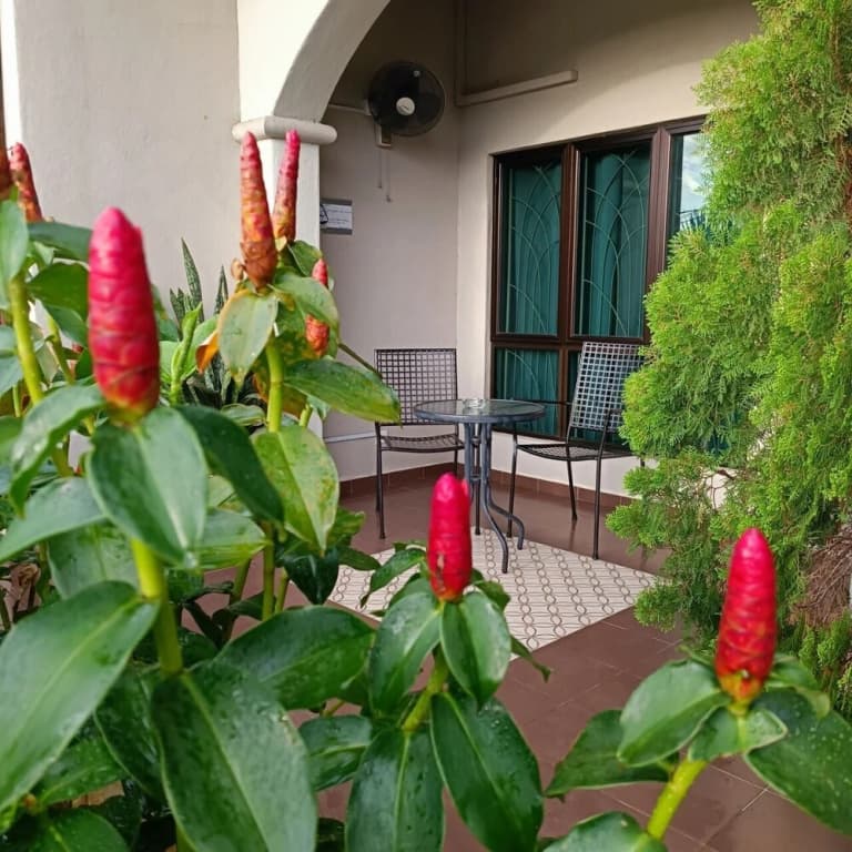Villa 223 - photo 4