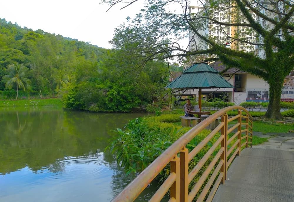 A Lake HouZz - photo 11