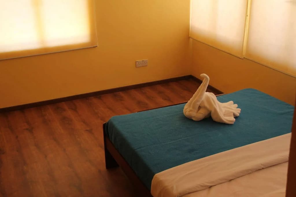 Fat Rhino Hostel - photo 5