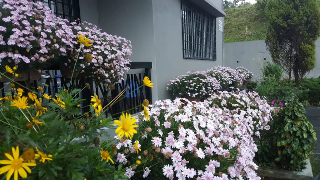 KPW at Royal Lily Apartment - photo 7