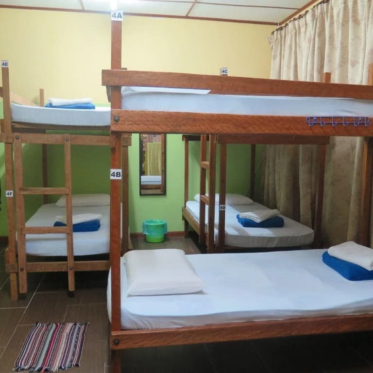 Postar's Backpacker - Hostel - photo 4