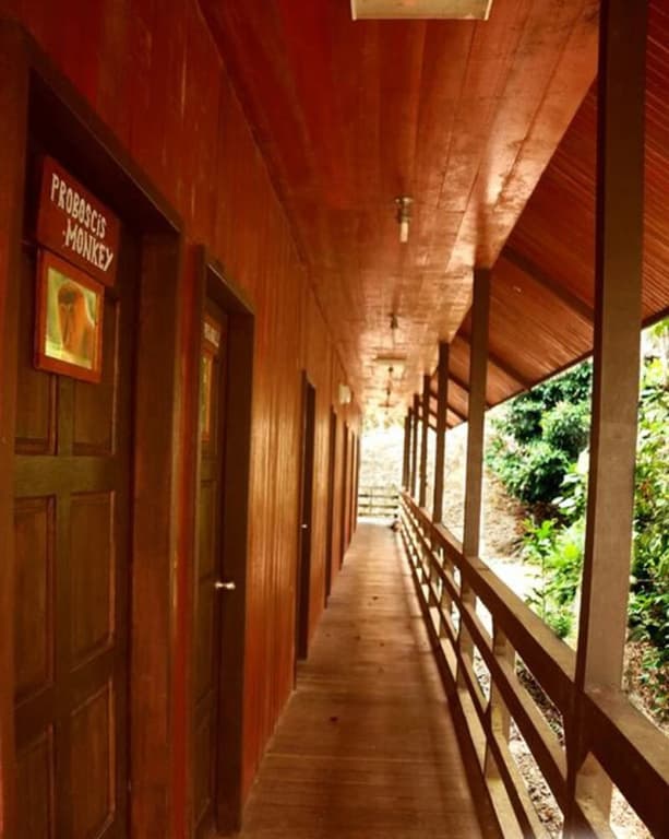 Kinabatangan Wildlife Lodge - Hostel - photo 10