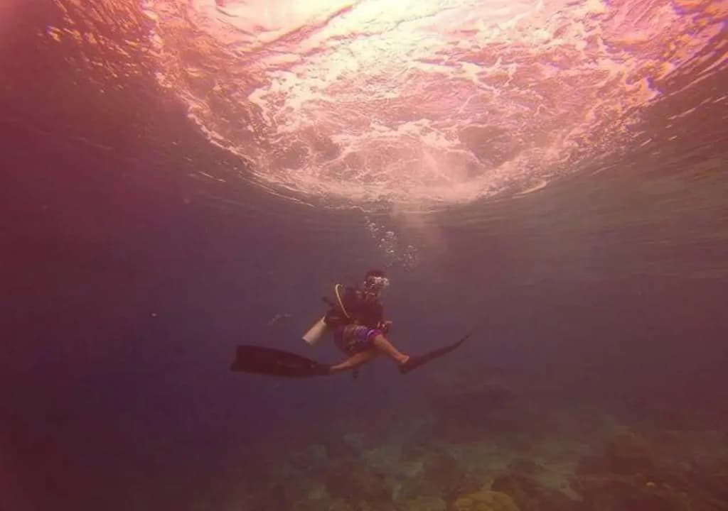 Celebes Beach Resort - photo 6