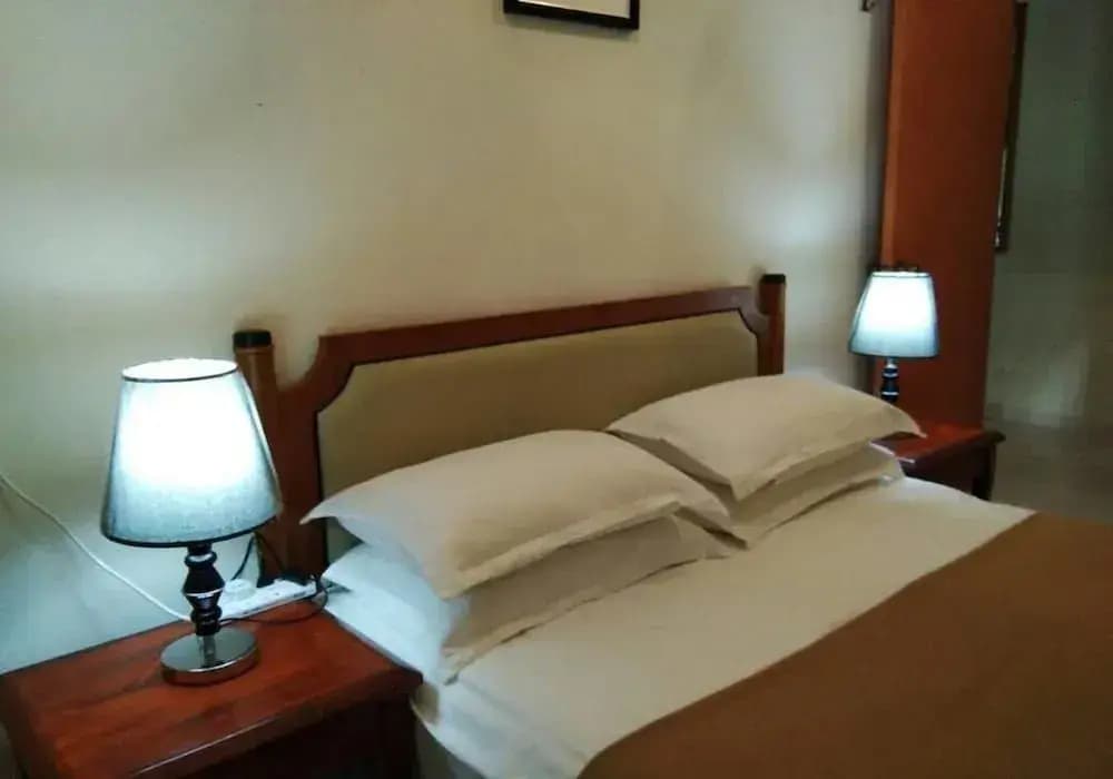 Ainis Guest House at The Lost World of Tambun - photo 4
