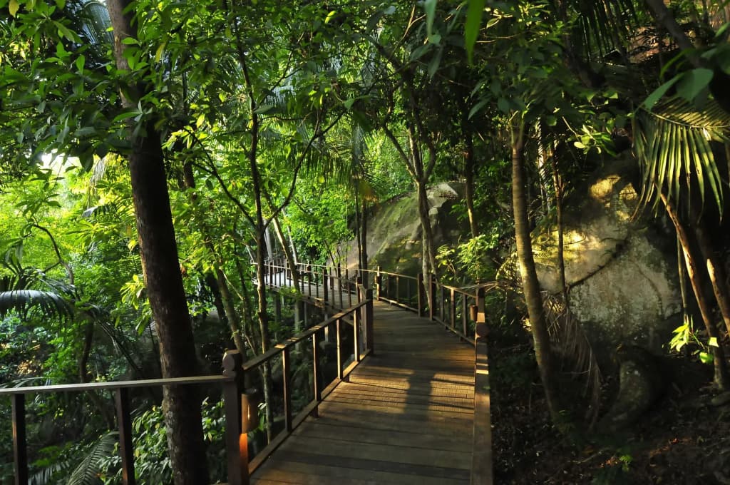 Japamala Resort by Samadhi – Age 12 and Above Only - photo 20