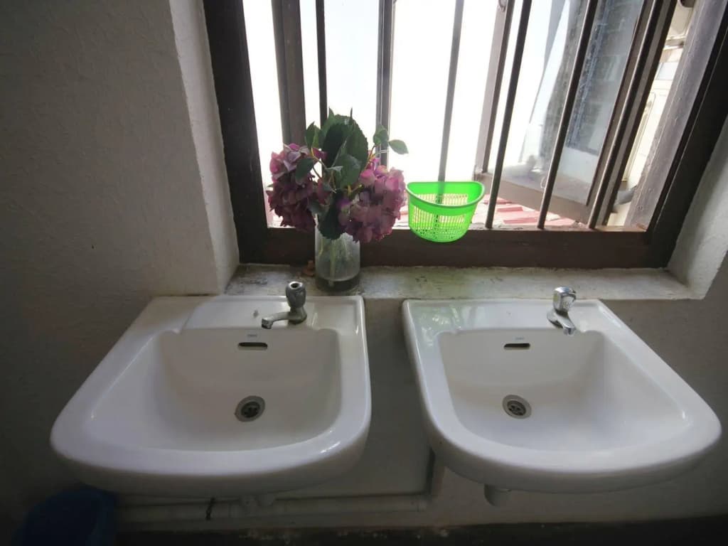 Cocoa Mews Cafe & Homestay - Hostel - photo 7