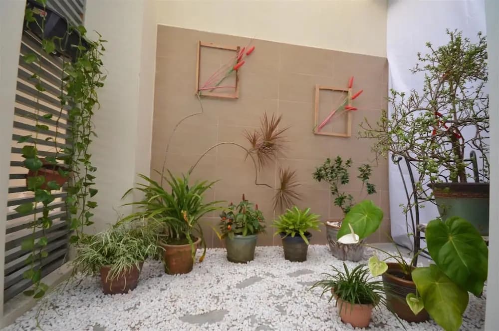Felicia Home - photo 11