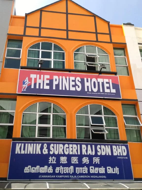The Pines Hotel - photo 1