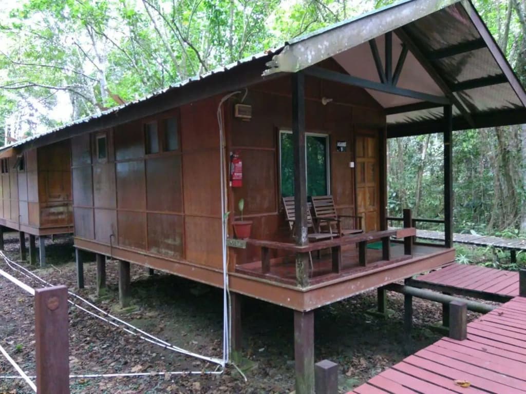 Tanini Kinabatangan (Formerly Known as Nature Lodge Kinabatangan) - photo 10