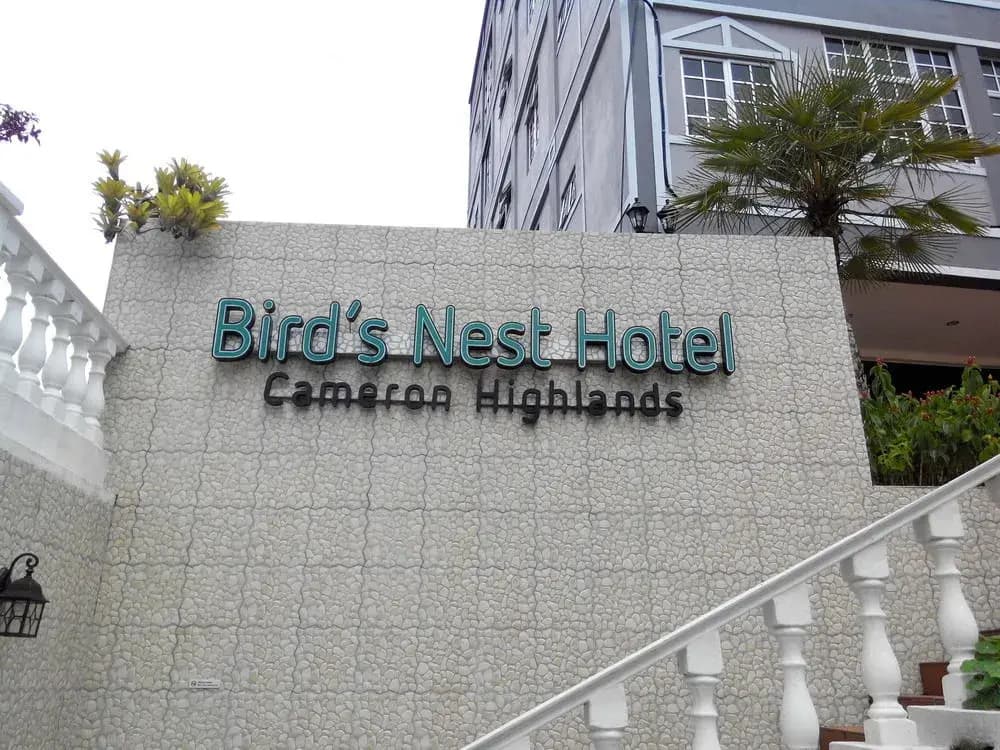 Bird's Nest Hotel - photo 1