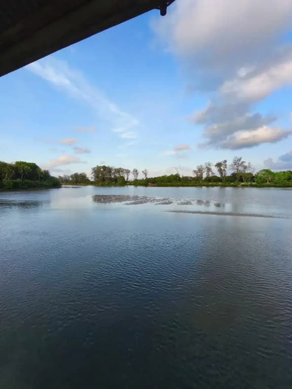 Qurata Riverside Resort - photo 30