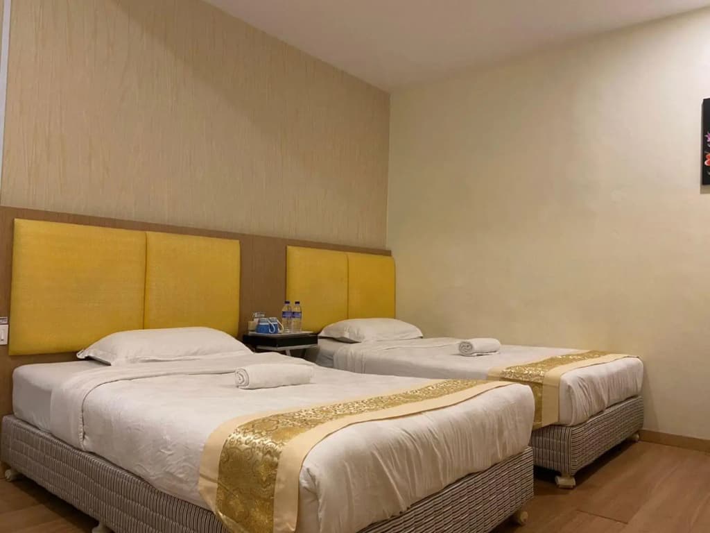 D'hotel - photo 5