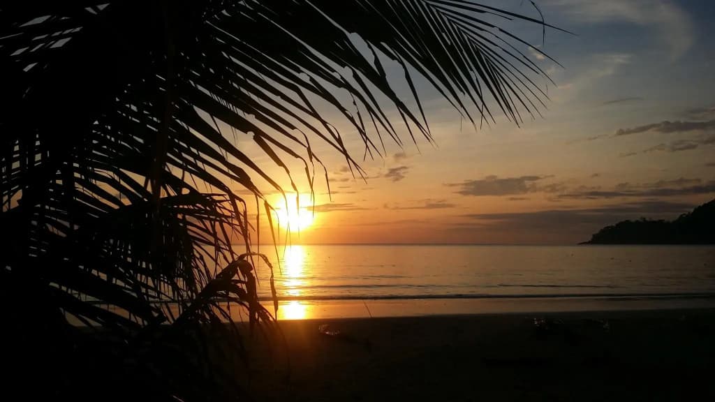 Juara Mutiara Resort - photo 9