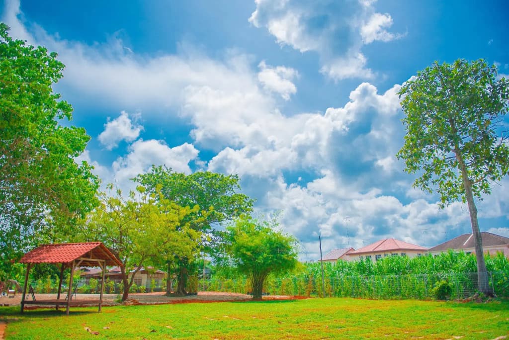 MUO Resort - photo 9