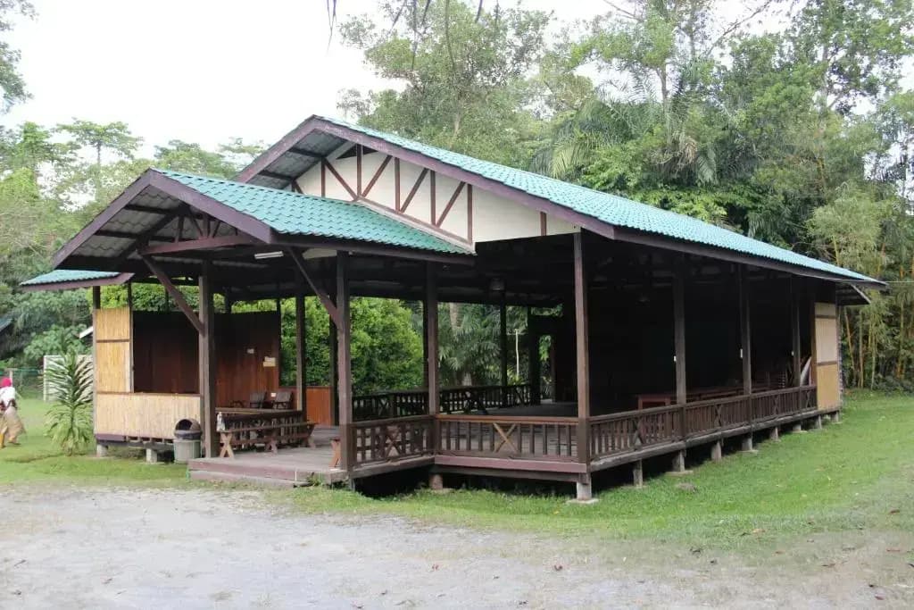 Sepilok B&B - photo 8