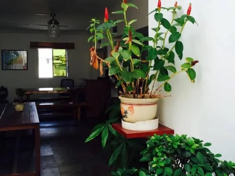 Lixion Homestay - photo 8
