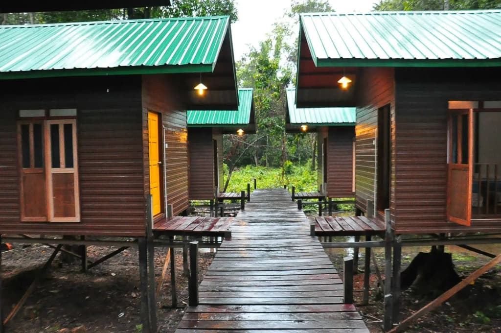 Kinabatangan Sunshine Lodge - photo 12