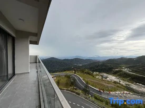 Grand Delemen by Quince Home - photo 17