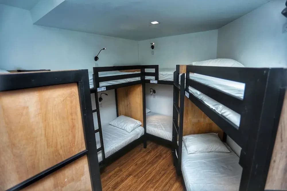 The Bedpackers Hostel - photo 3