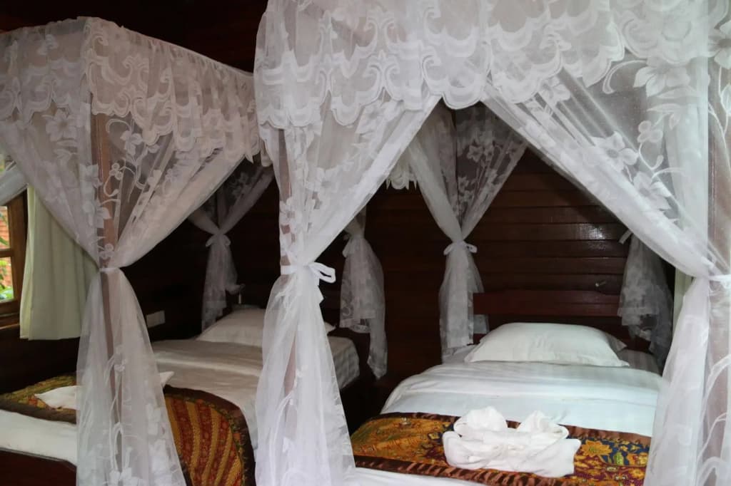 Borneo Natural Sukau Bilit Resort - photo 4