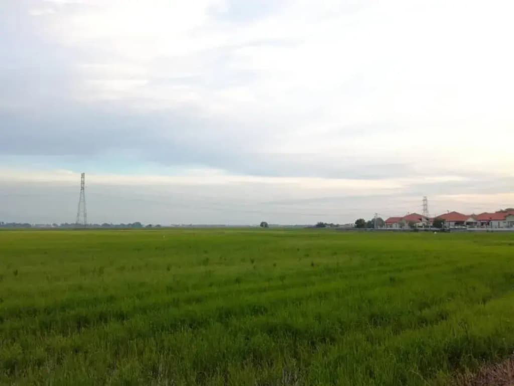 Kkp home stay - photo 8