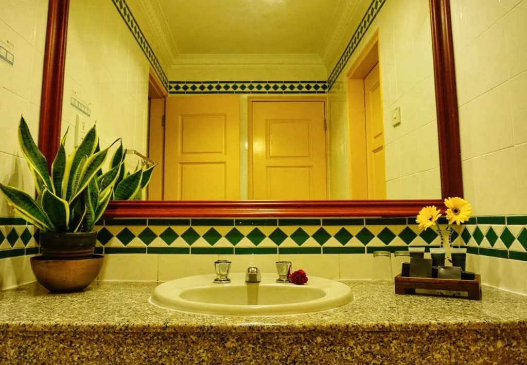 Leisure Cove Hotel & Apartments - photo 8