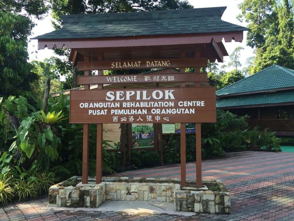 Tanini Sepilok (Formerly Nature Lodge Sepilok) - photo 1