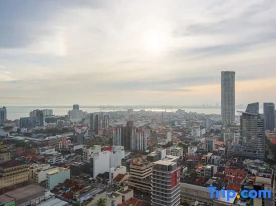Tropicana 218 Macalister By Stayla - photo 14