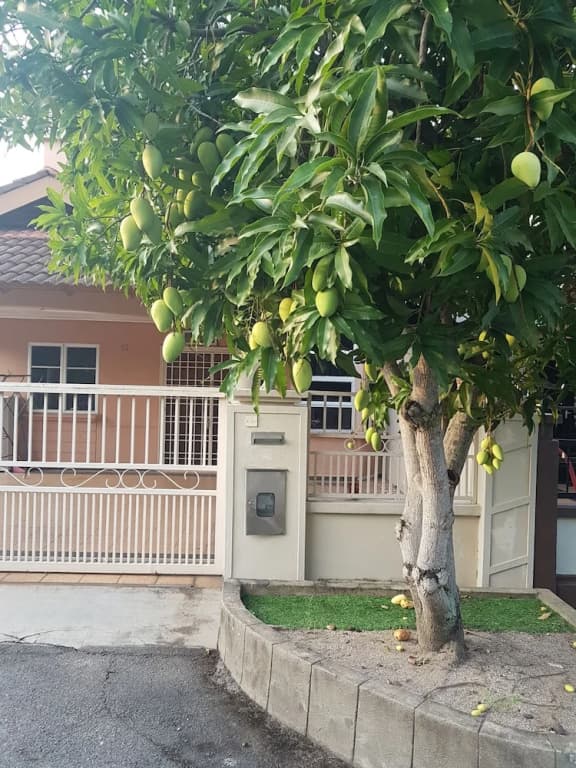 AisyaMyra Homestay - photo 15