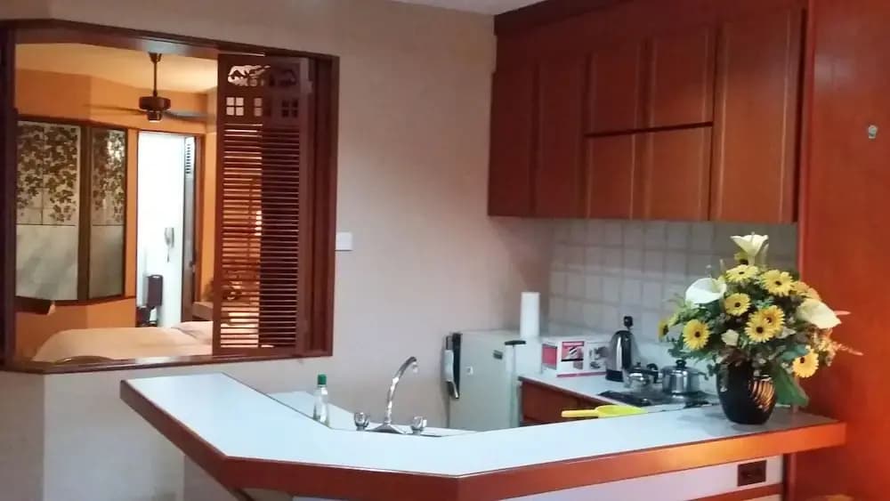 MV Apartment - photo 8