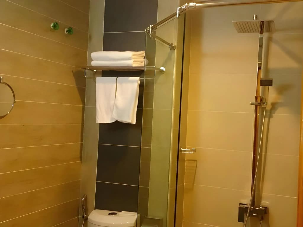 Amanson sigNature Hotel - photo 8