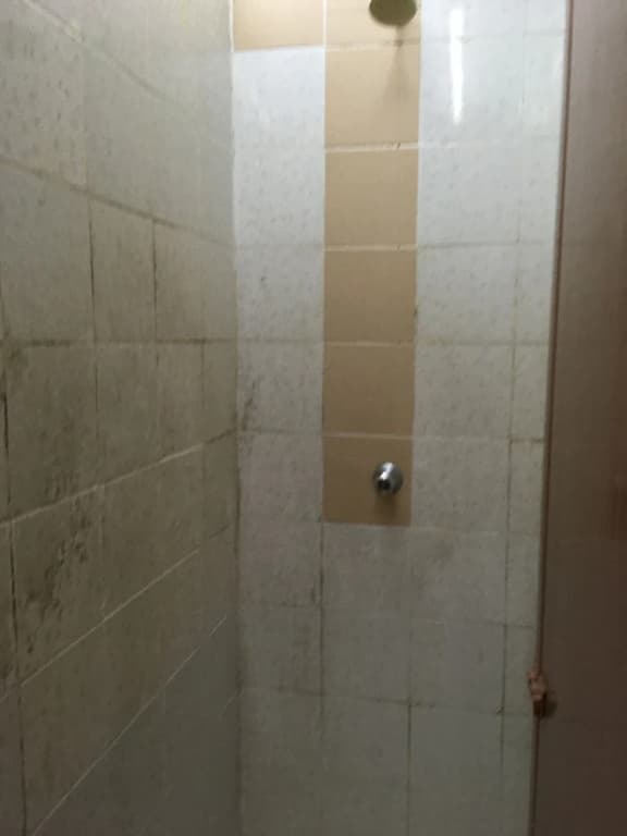 Trasvilla Hotel - photo 10