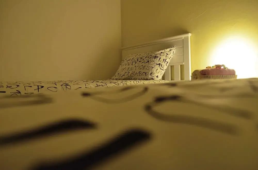 Manis-Manis Cottage Lodge - photo 2