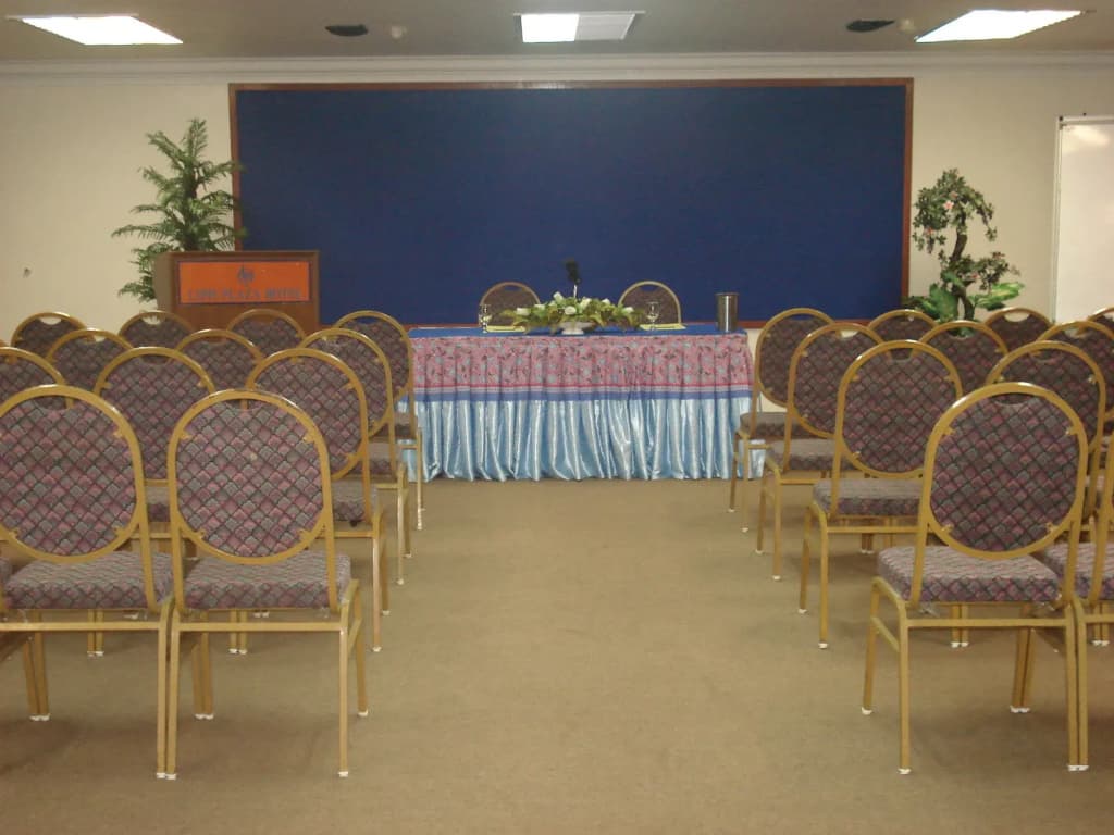 Lipis Plaza Hotel - photo 17