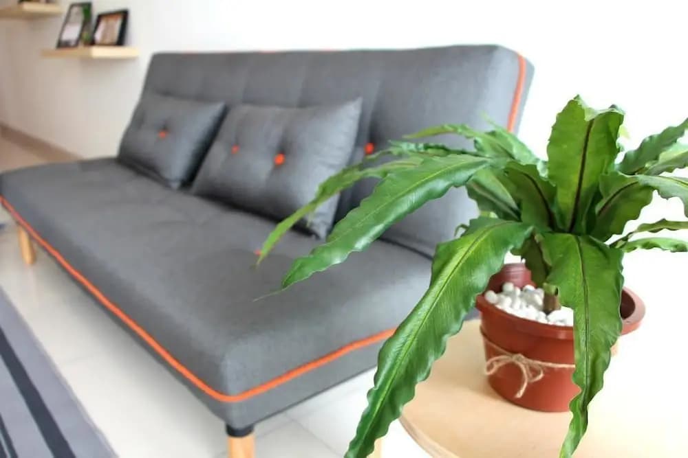 The Raffles Suites by Stayshare Homes - photo 11
