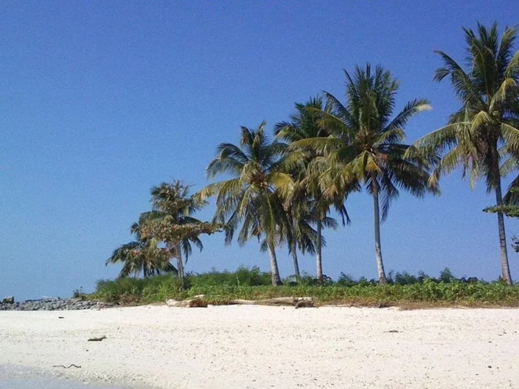 Tambisan Island Lodge - photo 11