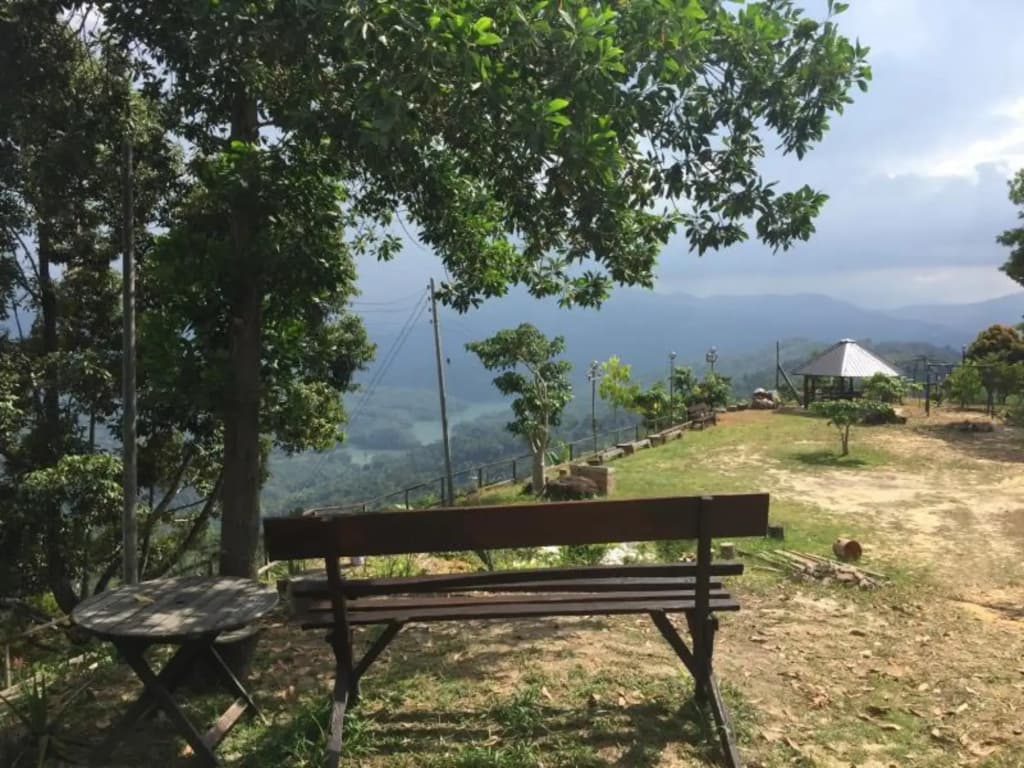 Kiansom Getaway Cabin - photo 3