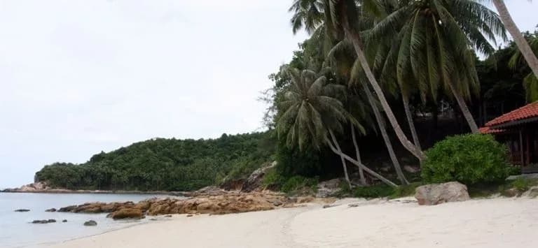 Sibu Island Resort Johor - photo 17